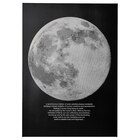 Bild Mondlicht von PJÄTTERYD für 24,99 € bei IKEA im Angebot Bild Mondlicht von PJÄTTERYD im aktuellen IKEA Prospekt