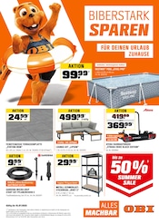 Ähnliche Linoleum Angebote im Prospekt "BIBERSTARK SPAREN" von OBI Ähnliches Angebot bei OBI in Prospekt "BIBERSTARK SPAREN" gefunden auf Seite 1