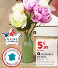5 pivoines en vase - Super U à Saint-Nazaire 5 pivoines en vase en promo chez Super U Saint-Nazaire à 5,99 €