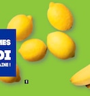 Promo Citrons à 0,99 € dans le catalogue Aldi à Houplines