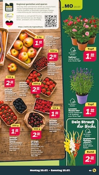 Garten Angebot im Netto mit dem Scottie Prospekt, gültig von 20.07.2026 bis 25.07.2026 Garten Angebot im aktuellen Netto mit dem Scottie Prospekt auf Seite 3