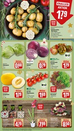 Pflanzen im REWE Prospekt in Neu-Ulm Aktueller REWE Prospekt mit Pflanzen, "Dein Markt", Seite 9