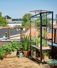 Gewächshaus „City Greenhouse“ Angebote bei Hornbach Heidelberg für 449,00 €