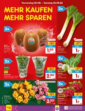Kiwi im Netto Marken-Discount Prospekt in Düsseldorf Aktueller Netto Marken-Discount Prospekt mit Kiwi, "Aktuelle Angebote", Seite 3