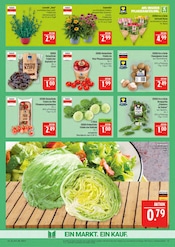 Aktueller Marktkauf Prospekt mit Pflanzen, "AUSWAHL RIESIG, PREISE NIEDRIG", Seite 11