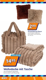 Kuscheldecke im Action Prospekt in Pforzheim Aktueller Action Prospekt mit Kuscheldecke, "Wochenangebote", Seite 13