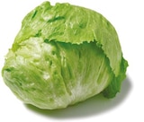 Netto mit dem Scottie - Eisbergsalat Angebot im Prospekt Eisbergsalat bei Netto mit dem Scottie im Prospekt "" für 1,11 €