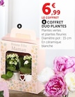 Coffret duo plantes - Super U à Valence Coffret duo plantes en promo chez Super U Valence à 6,99 €