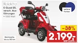 E-Quad 25 Angebot in Schwanstetten E-Quad 25 im aktuellen Prospekt bei Netto Marken-Discount in Schwanstetten