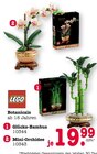 Glücks-Bambus oder Mini-Orchidee im Angebot bei E center in Rastatt Glücks-Bambus oder Mini-Orchidee Angebote von LEGO bei E center Rastatt für 19,99 €