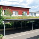 Delmes Bauwelt - Gründachpaket Angebot im Prospekt Gründachpaket bei Delmes Bauwelt im Prospekt "" für 888,59 €