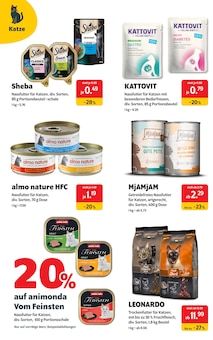 Katzenfutter im aktuellen DAS FUTTERHAUS Prospekt (Oberhausen) Katzenfutter im DAS FUTTERHAUS Prospekt "Aktuelle ANGEBOTE" mit 17 Seiten (Oberhausen)