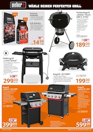 Grillkohle Angebot im aktuellen Selgros Prospekt auf Seite 23
