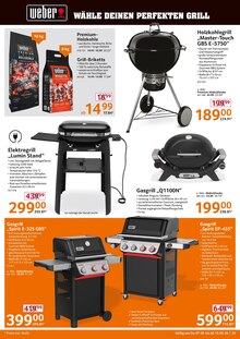 Grillkohle im Selgros Prospekt "HIER KAUFEN PROFIS & GENIESSER" mit 24 Seiten (Bottrop)