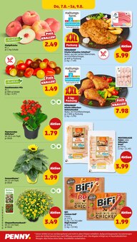 Blumen im Penny Prospekt "Wer günstig will, muss Penny." mit 41 Seiten (Karlsruhe)