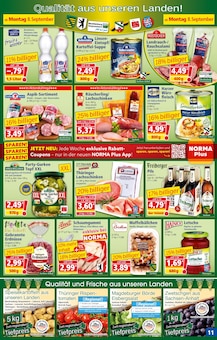 Ananas Angebot im aktuellen Norma Prospekt auf Seite 11