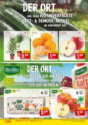 Zimmerpflanzen im Netto Marken-Discount Prospekt in Herne Aktueller Netto Marken-Discount Prospekt mit Zimmerpflanzen, "Neueröffnung - 10% auf ALLES", Seite 4