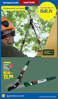 Promotion Orchidée dans le prospectus Lidl, valable du 13/08/2026 au 19/08/2026 Promo Orchidée dans le catalogue Lidl du moment à la page 30