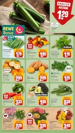 Gartenpflanzen Angebot im aktuellen REWE Prospekt auf Seite 5