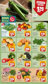 Ähnliche Seerose Angebote im Prospekt "Dein Markt" von REWE Ähnliches Angebot bei REWE in Prospekt "Dein Markt" gefunden auf Seite 5