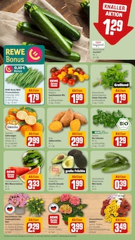Aprikosen Angebot im aktuellen REWE Prospekt auf Seite 5