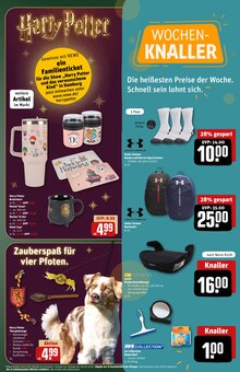 Rucksack im REWE Prospekt "Dein Markt" mit 34 Seiten (Nürnberg)