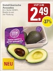 WEZ Rodenberg - Südafrikanische Avocados Angebot im Prospekt Südafrikanische Avocados bei WEZ im Rodenberg Prospekt für 2,49 €