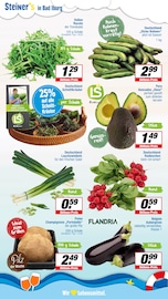 Salat im EDEKA Prospekt in Osnabrück Aktueller EDEKA Prospekt mit Salat, "Aktuelle Angebote", Seite 7