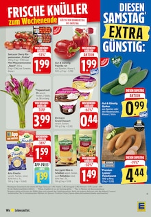 Tulpen im EDEKA Prospekt "Aktuelle Angebote" mit 39 Seiten (Reutlingen)