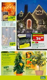 Ähnliche Steckdosenleuchte Angebote im Prospekt "Ich mach's mir schön!" von Pflanzen Kölle Ähnliches Angebot bei Pflanzen Kölle in Prospekt "Ich mach's mir schön!" gefunden auf Seite 5