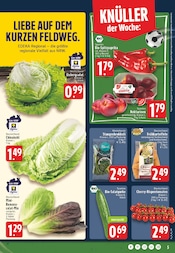 Mixer im EDEKA Prospekt in Herten Aktueller EDEKA Prospekt mit Mixer, "Aktuelle Angebote", Seite 5