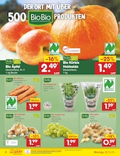Aktueller Netto Marken-Discount Prospekt mit Kürbis, "Aktuelle Angebote", Seite 6