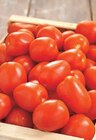 Tomate Allongée à Intermarché dans Kervignac Tomate Allongée à Intermarché dans Kervignac