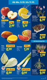 Aktueller Lidl Prospekt mit Äpfel, "LIDL LOHNT SICH", Seite 5