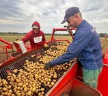 Deutsche Bio-Kartoffeln Angebote von Naturgut bei Penny Oranienburg für 1,89 €