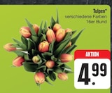 Tulpen bei E center im Prospekt "" für 4,99 €