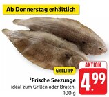 Frische Seezunge Angebote bei EDEKA Lahr für 4,99 €