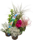 Herbstlicher Mix im Angebot bei REWE in Erlangen Herbstlicher Mix Angebote bei REWE Erlangen für 5,99 €