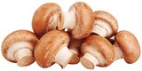 Braune Bio Champignons Angebote von REWE Bio bei REWE Ludwigshafen für 1,79 €
