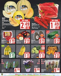 Kohlrabi Angebot im aktuellen EDEKA Prospekt auf Seite 2