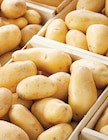 Pommes de terre de consommation à Netto dans Montrond Pommes de terre de consommation à Netto dans Montrond