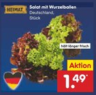 Salat mit Wurzelballen im Angebot bei Netto Marken-Discount in Rostock Salat mit Wurzelballen Angebote von Heimat bei Netto Marken-Discount Rostock für 1,49 €