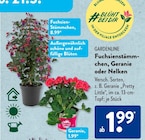 Fuchsienstämmchen von Gardenline im aktuellen ALDI SÜD Prospekt für 1,99 €