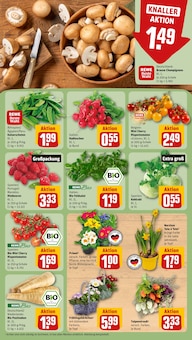 Blumen im aktuellen REWE Prospekt (Jena) Blumen im REWE Prospekt "Dein Markt" mit 32 Seiten (Jena)