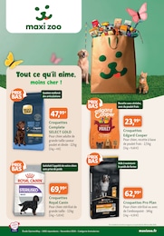 Offre Chien dans le catalogue Maxi Zoo du moment à la page 1