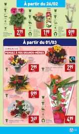 Orchidée Angebote im Prospekt "ARRIVAGES ORIENTAUX À PRIX DISCOUNT" von Aldi auf Seite 36