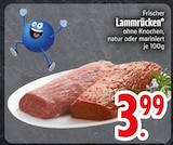 Lammrücken im Angebot bei EDEKA in Kaufbeuren Lammrücken Angebote bei EDEKA Kaufbeuren für 3,99 €