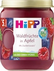Früchte Waldfrüchte in Apfel, 5. Monat, 160 g Angebote von Hipp bei dm-drogerie markt Heidelberg für 1,45 €