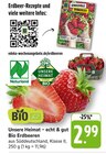 EDEKA Sternenfels - Bio Erdbeeren Angebot im Prospekt Bio Erdbeeren bei EDEKA im Sternenfels Prospekt für 2,99 €