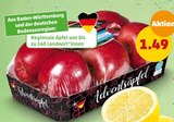 Penny-Markt - Adventsäpfel Angebot im Prospekt Adventsäpfel bei Penny-Markt im Prospekt "" für 1,49 €